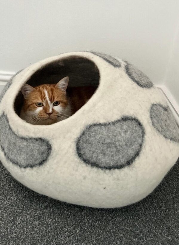 Pet House