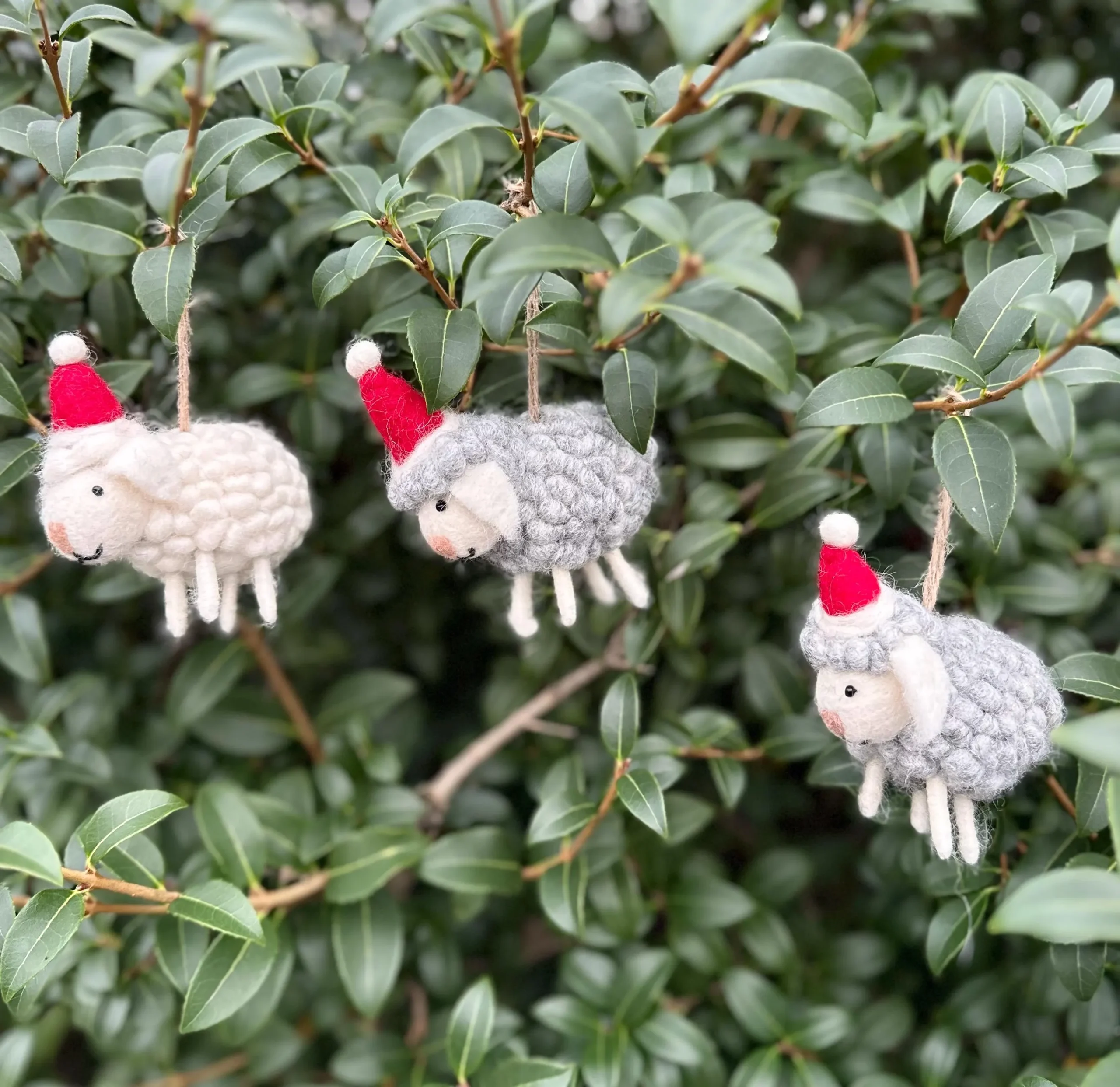 Felt sheep with Christmas hat